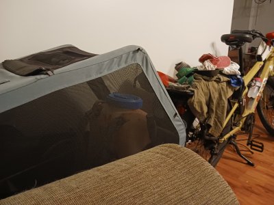 20250530_221735.jpg